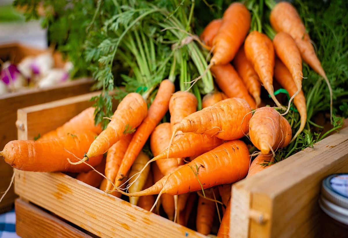 Carrot Benefits: वजन घटाने से लेकर दिल की सेहत तक, जानें गाजर के 10 बड़े फायदे