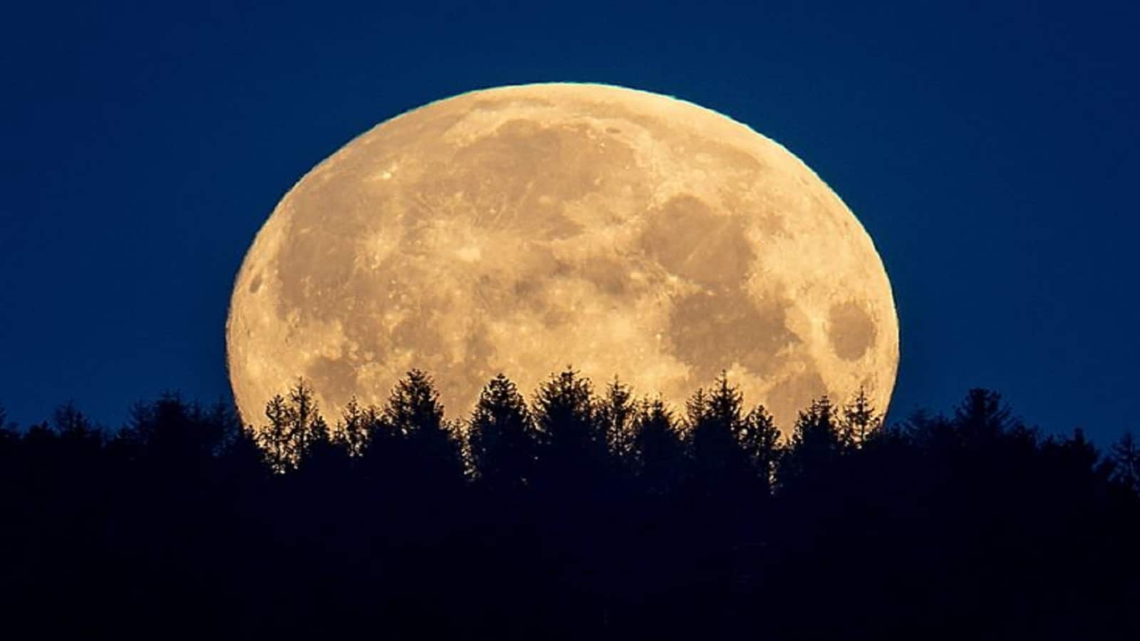 December 2025 Full Moon: कल शाम आसमान पर रखें नजर, आ रहा है साल का आखिरी सुपरमून
