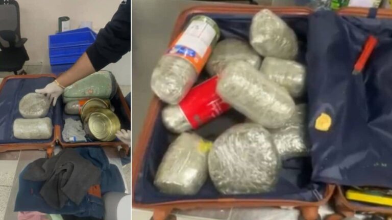 Delhi Crime: IGI एयरपोर्ट पर बैंकॉक से आए यात्री के बैग से 4 करोड़ का गांजा बरामद, जांच के दौरान ऐसे चढ़ा हत्थे