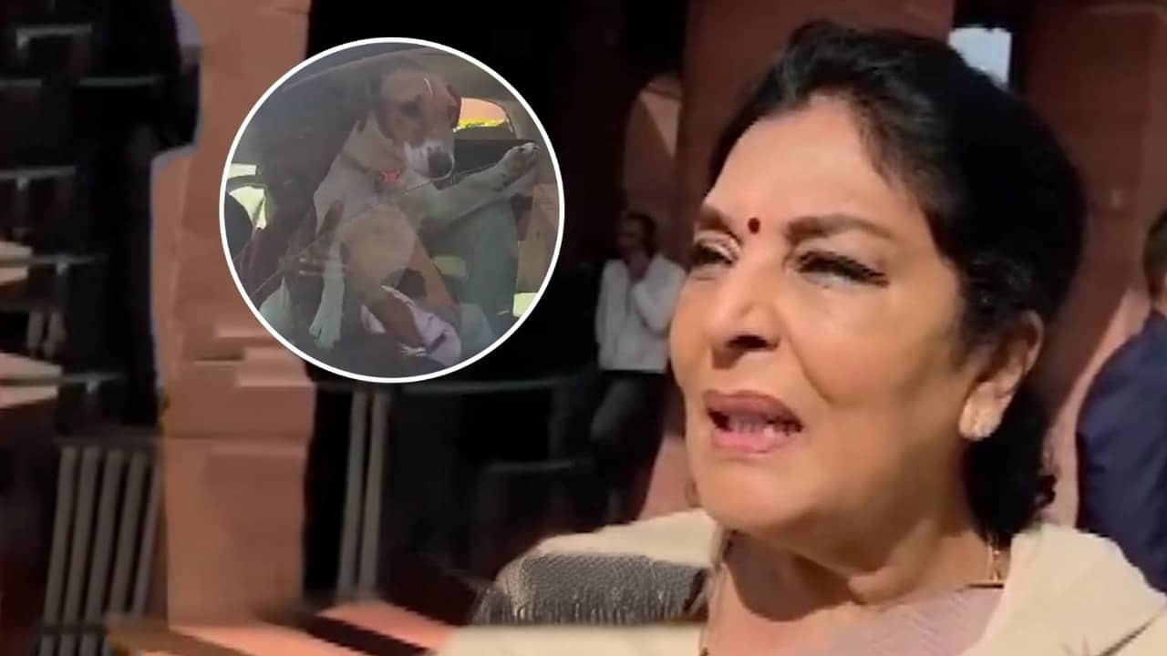 Dog Remark Row: आप के खिलाफ संसद में प्रिविलेज मोशन लाने की तैयारी कर रही BJP, क्या करेंगी? रेणुका चौधरी का जवाब- भौं-भौं, और क्या...; VIDEO