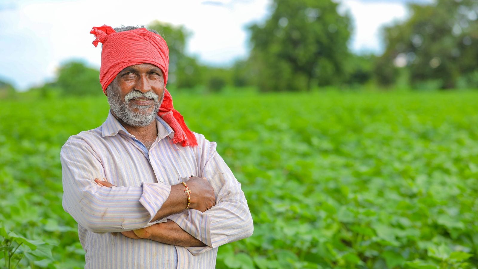 60 दिन में घर बैठे मुनाफा, किसान भी हो सकते हैं अमीर, अपनाएं ये प्लान