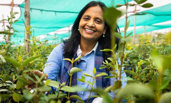 एक भारतीय सहित, 5 जलवायु कार्यकर्ताओं को यूएन का सर्वोच्च पर्यावरण सम्मान