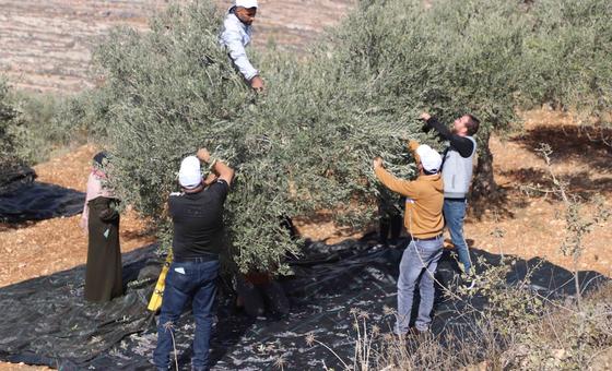 क़ाबिज़ पश्चिमी तट: फ़लस्तीनी नागरिक समाज पर बढ़ते दबाव पर गहरी चिन्ता