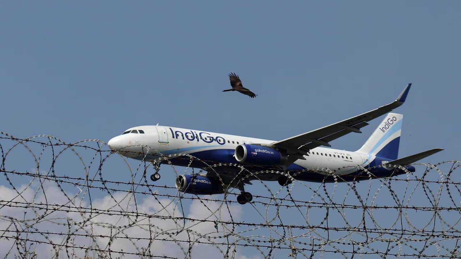 IndiGo Crisis: इंडिगो 8 दिसंबर को DGCA के नोटिस का देगा जवाब, फ्लाइट कैंसिल से देशभर के एयरपोर्ट पर हाहाकार