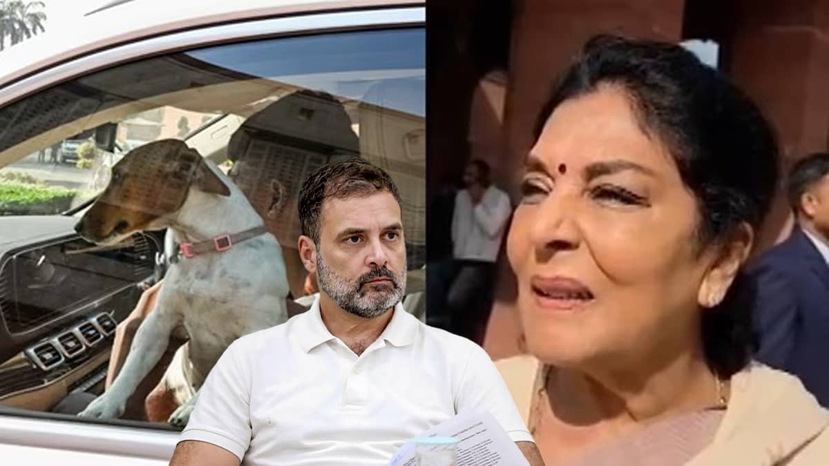 Pet सिर्फ अंदर अलाऊ है? कुत्ते  पर रेणुका चौधरी के बयान के बाद राहुल गांधी ने भी किया तंज, BJP बोली- सदन की गरिमा भंग कर रही कांग्रेस