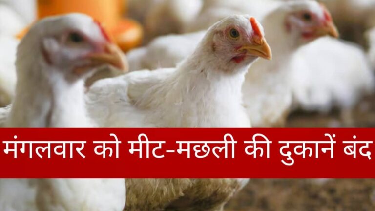 Non-Veg Ban: उत्तराखंड के इस शहर में मंगलवार को नहीं बिकेगा नॉन-वेज, नियमों का उल्लंघन करने पर दुकानें होंगी सील