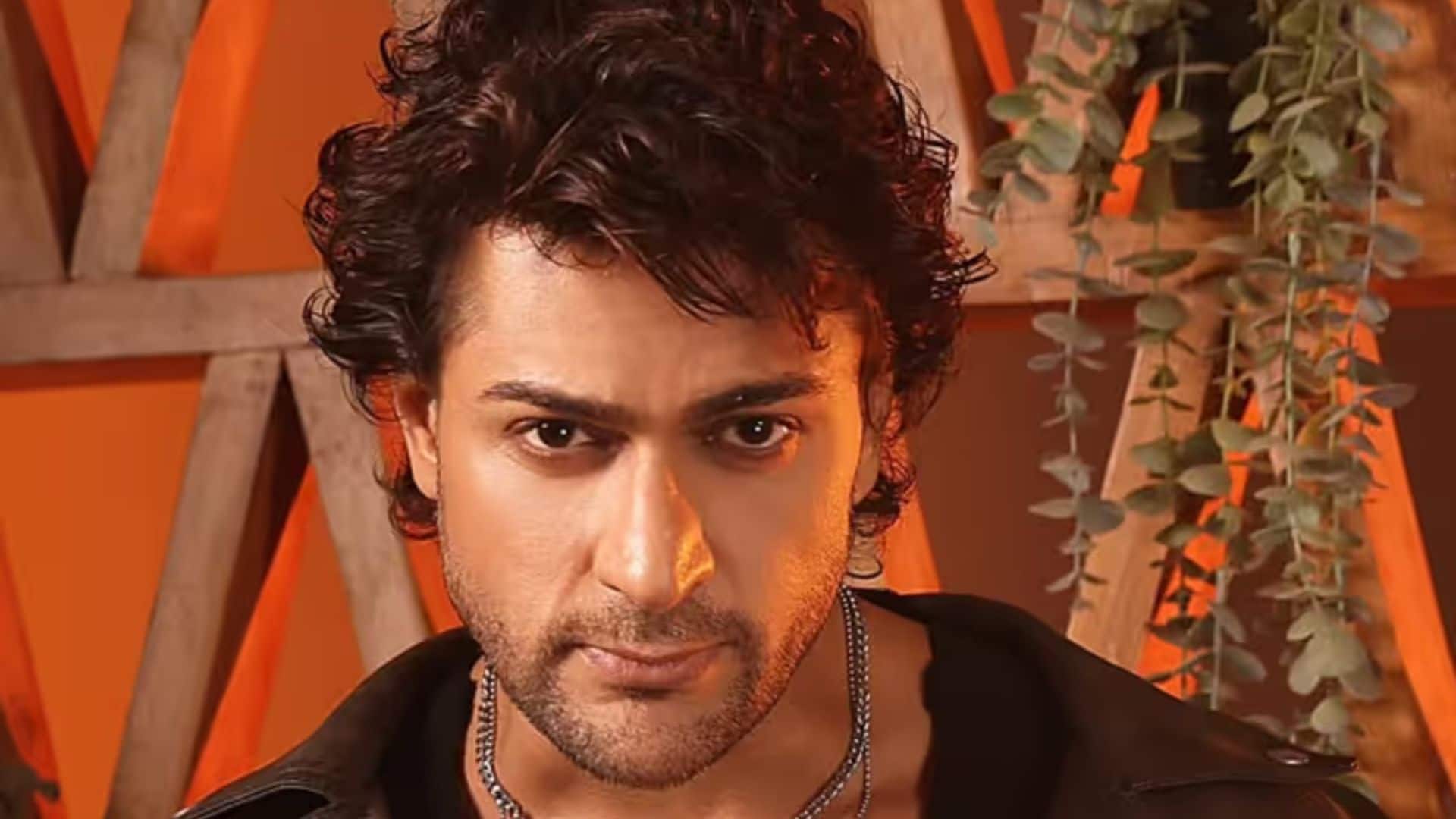 'सही लड़की मिले तो...', 2026 में दूल्हा बनने को तैयार शालीन भनोट? एक्टर ने खोला दिल का राज