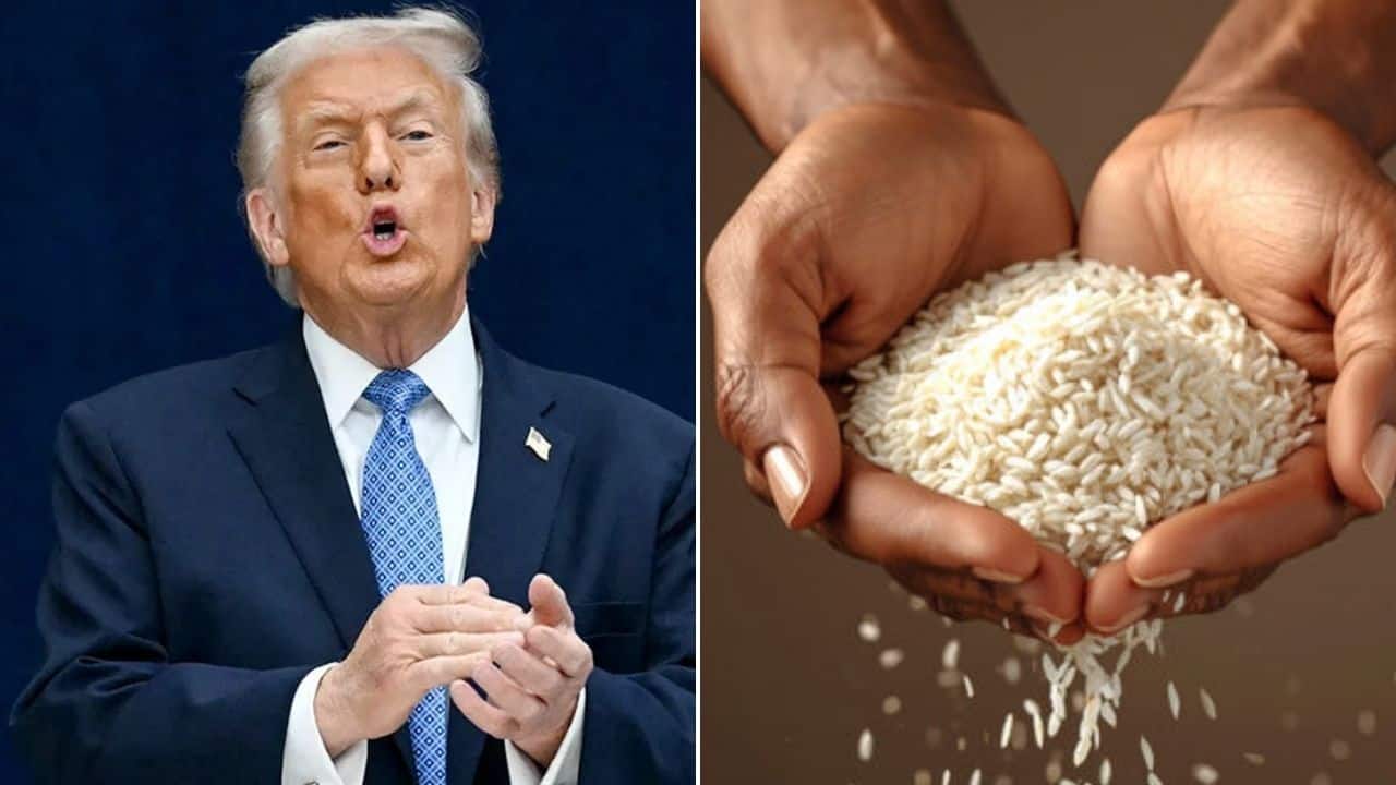 Rice Stocks: ट्रंप की नई टैरिफ धमकी से लुढ़के चावल कंपनियों के शेयर; KRBL और LT Foods 7% तक टूटे