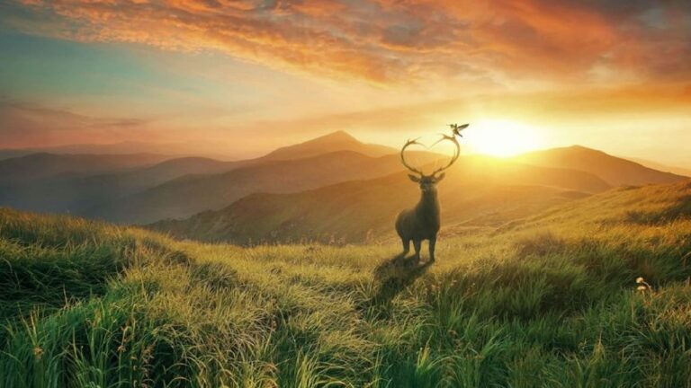 Winter Solstice 2025: कल होगा साल का सबसे छोटा दिन और सबसे लंबी रात, 13 घंटे छाया रहेगा अंधेरा