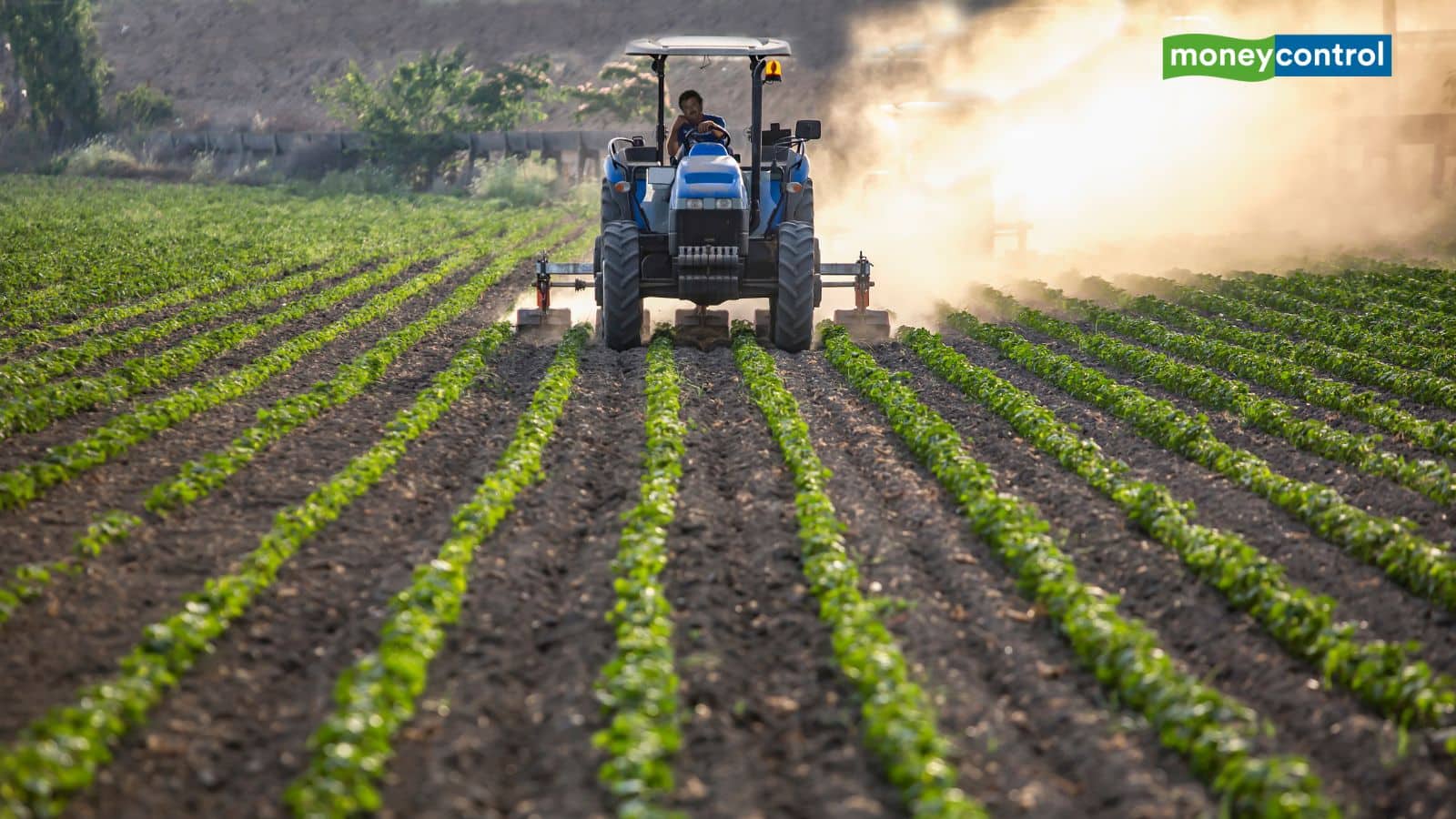 Budget 2026: एग्री इंफ्रास्ट्रक्चर और रिसर्च के लिए आवंटन बढ़ाएगी सरकार, क्लाइमेट स्मार्ट फार्मिंग पर होगा फोकस