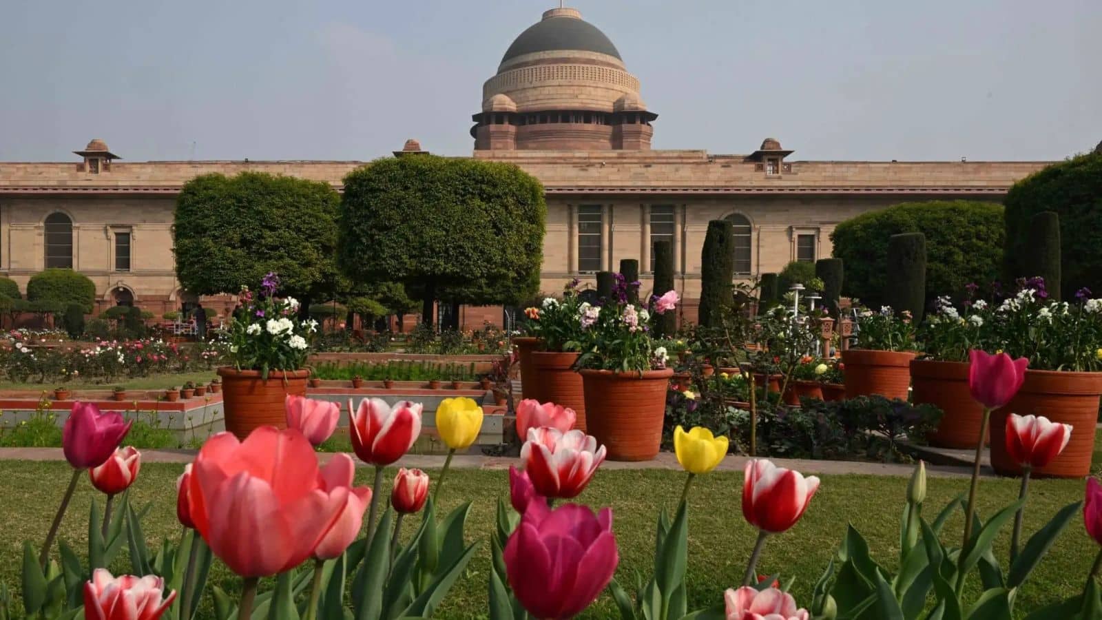 Amrit Udyan: दिल्ली में पर्यटकों के लिए खुला अमृत उद्यान, जानें सभी जरूरी डिटेल्स