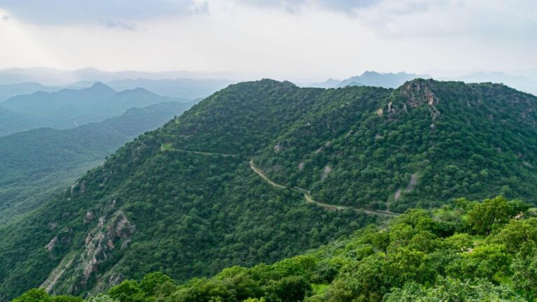 माउंट आबू से लेकर उदयपुर तक...अरावली की पहाड़ियों में बसे ये जगहें घूमने के लिए हैं बेस्ट