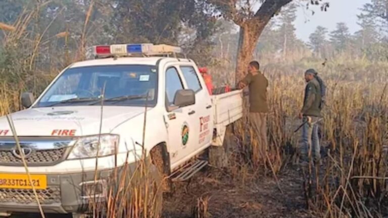 Bihar Valmiki Tiger Reserve: बिहार के वाल्मीकि टाइगर रिजर्व में पेड़ पर लटके मिले दो कंकाल, ऑनर किलिंग की आशंका