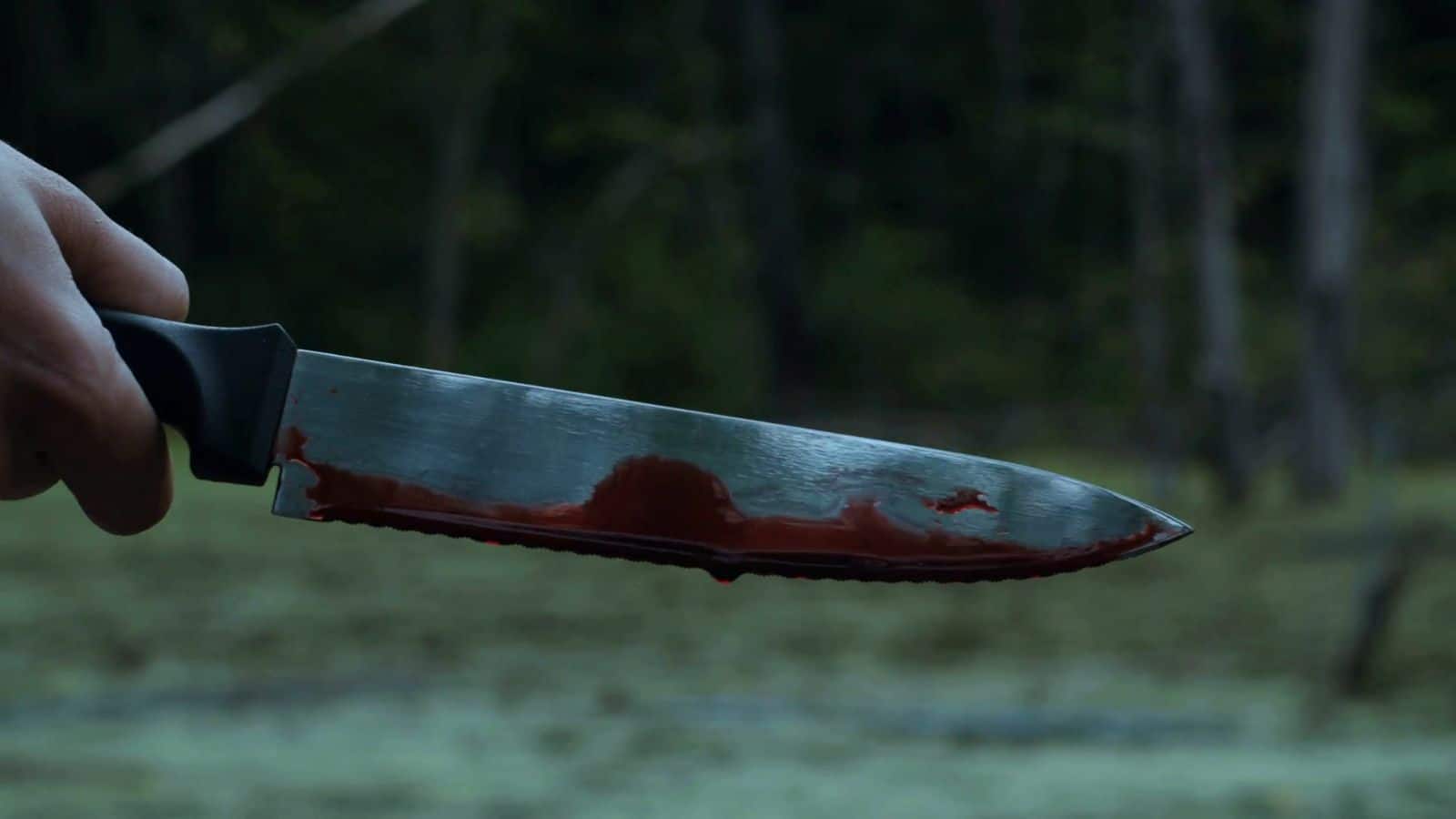 मां की हत्या करने इंग्लैंड से हरियाणा आया बेटा, 6 दिन छुपा रहा फिर दिया खौफनाक प्लान को अंजाम