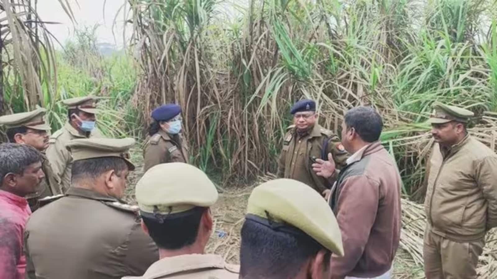 Hapur Woman Murder: गन्ने के खेत मिला महिला का अर्धनग्न जला हुआ शव, पुलिस ने जताई बलात्कार और हत्या की आशंका
