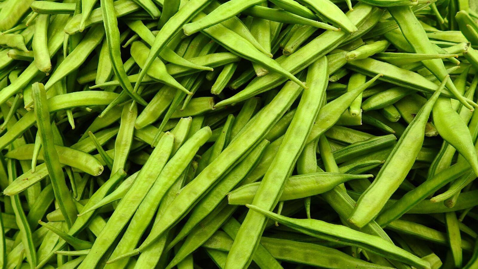 Kitchen Garden Tips: कम मेहनत, ज्यादा फसल, जानें अपने घर में ग्वार फली उगाने का तरीका