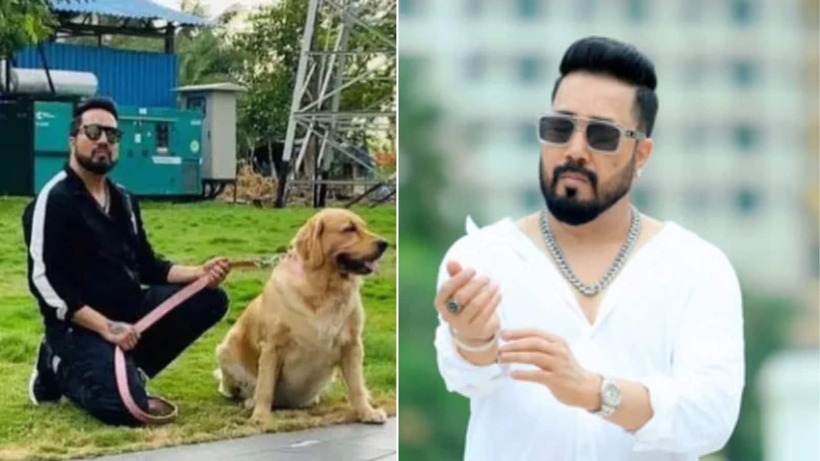 Mika Singh Post: मीका सिंह ने दिखाई हमदर्दी, आवारा कुत्तों के लिए देंगे 10 एकड़ जमीन, सुप्रीम कोर्ट से की अपील
