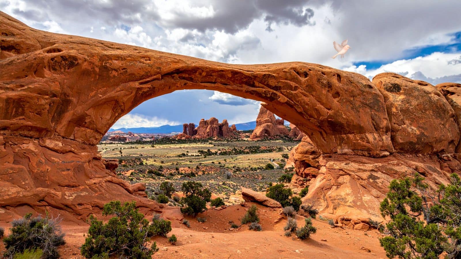 National Tourism Day 2026: आखिर 25 जनवरी को ही क्यों मनाया जाता है राष्ट्रीय पर्यटन दिवस? यहां जानें सबकुछ