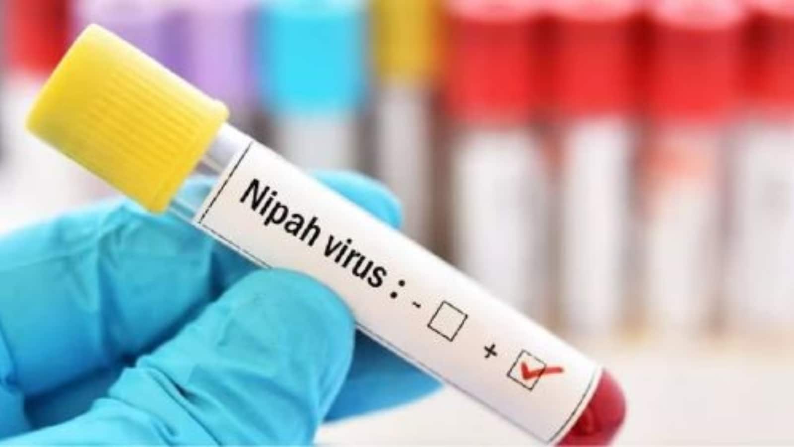 Nipah Virus West Bengal: निपाह वायरस का कहर, पुणे लैब ने बंगाल में दो मामलों की पुष्टि की, नर्सों की हालत गंभीर, 120 लोग होम आइसोलेशन में