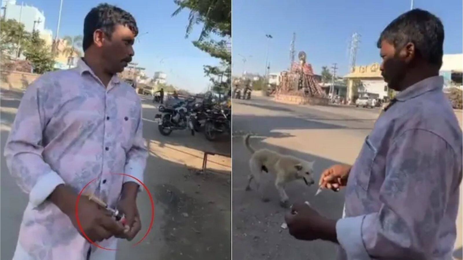 तेलंगाना में 500 आवारा कुत्तों के जहर का इंजेक्शन देकर मारा डाला! चुनावी वादा पूरा करने के लिए की गई क्रूरता