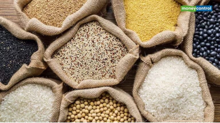 Agri Commodity: इस साल घटेगा दालों का इंपोर्ट, 30% गिरावट की उम्मीद, रबी सीजन में तिलहन की बुआई बढ़ी