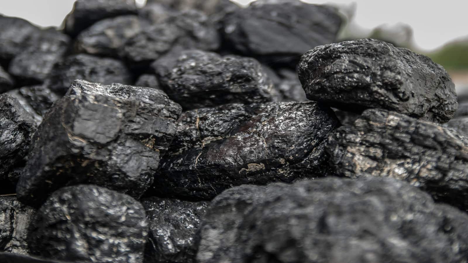 Bharat Coking Coal IPO Listing: 96% प्रीमियम पर ₹23 का शेयर लिस्ट, आईपीओ को भी मिला था धांसू रिस्पांस