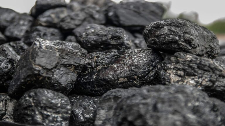 Bharat Coking Coal IPO: ₹1071 करोड़ के आईपीओ का प्राइस बैंड फिक्स, निवेश से पहले जान लें ये 10 अहम बातें