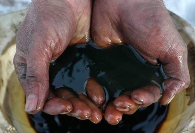 Crude Oil Price: कच्चे तेल की कीमतों में गिरावट, ट्रंप के ईरान पर अमेरिकी जवाब रोकने के संकेत का दिखा असर