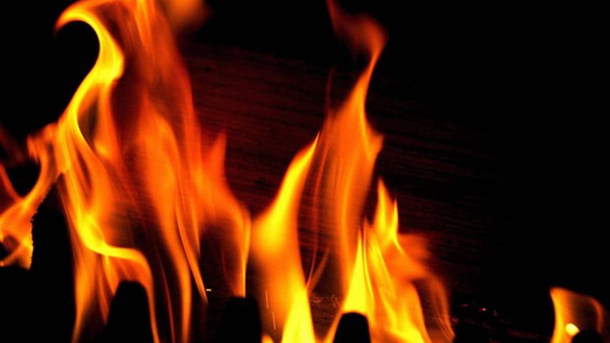 West Bengal: दक्षिण 24 परगना के 2 वेयरहाउस में भीषण आग, 8 लोग जिंदा जले; काबू पाने में दमकल की गाडि़यों को लगे 7 घंटे