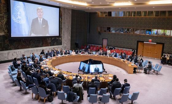 सुरक्षा परिषद: 'यमन के दक्षिणी हिस्से का भविष्य कोई एक पक्ष तय नहीं कर सकता है'