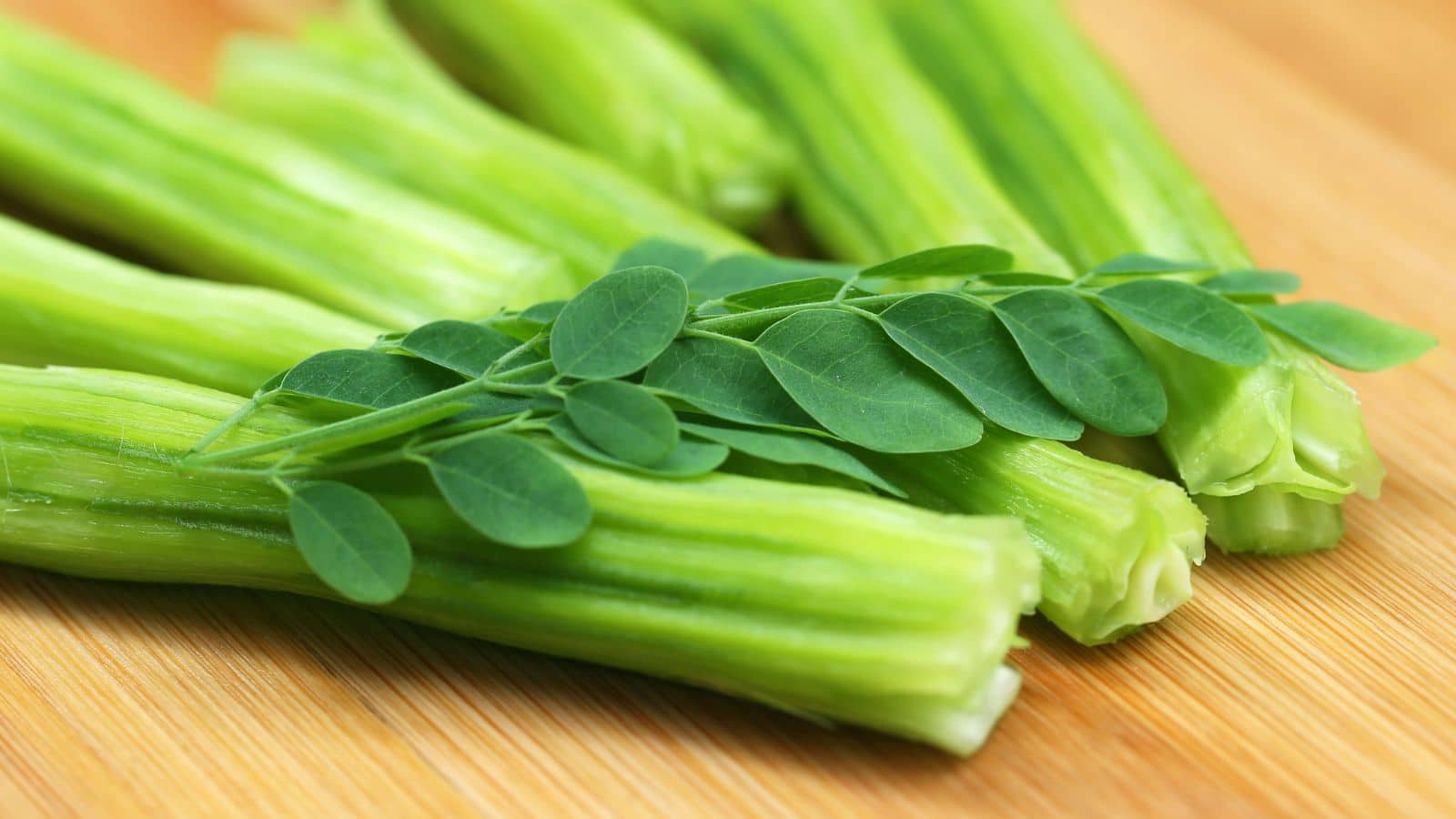 Moringa Benefits: लगातार बढ़ता वजन? रोजाना मोरिंगा शामिल करें, फैट घटाना होगा आसान