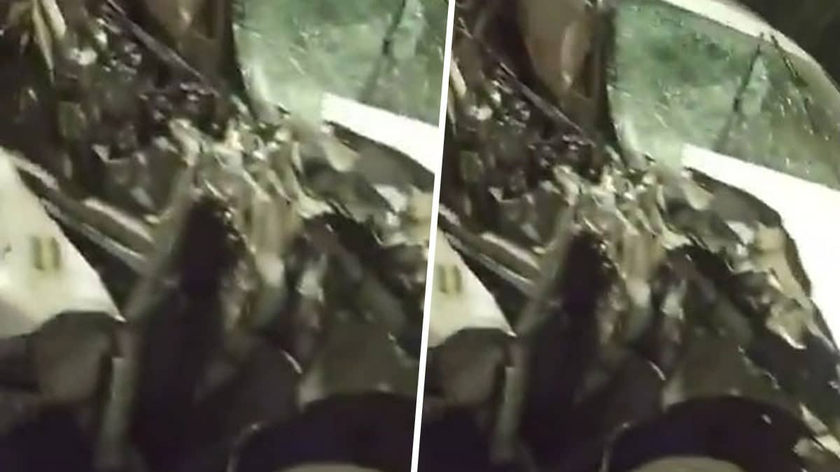 Noida Accident: ओवरटेक के चक्कर में गई जान, नोएडा-भंगेल एलिवेटेड रोड पर ट्रक से टकराई तेज रफ्तार जगुआर कार, 1 की मौत