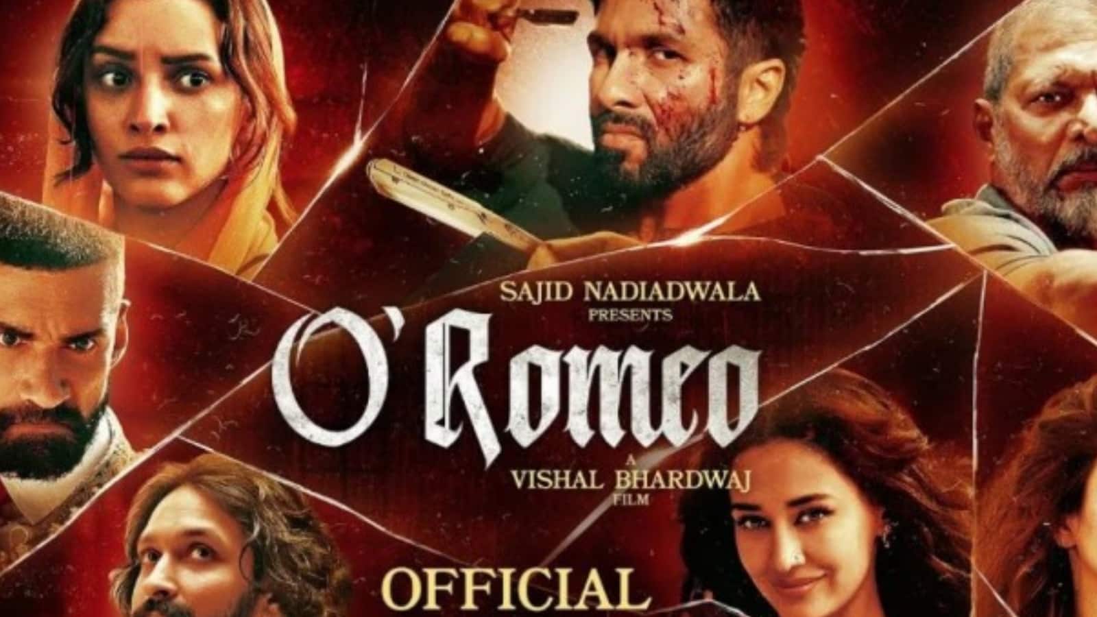 O Romeo Cast Fees: शाहिद कपूर से लेकर तृप्ति डिमरी ने वसूली मोटी रकम, ओ रोमियो कास्ट फीस जान उड़ जाएंगे होश