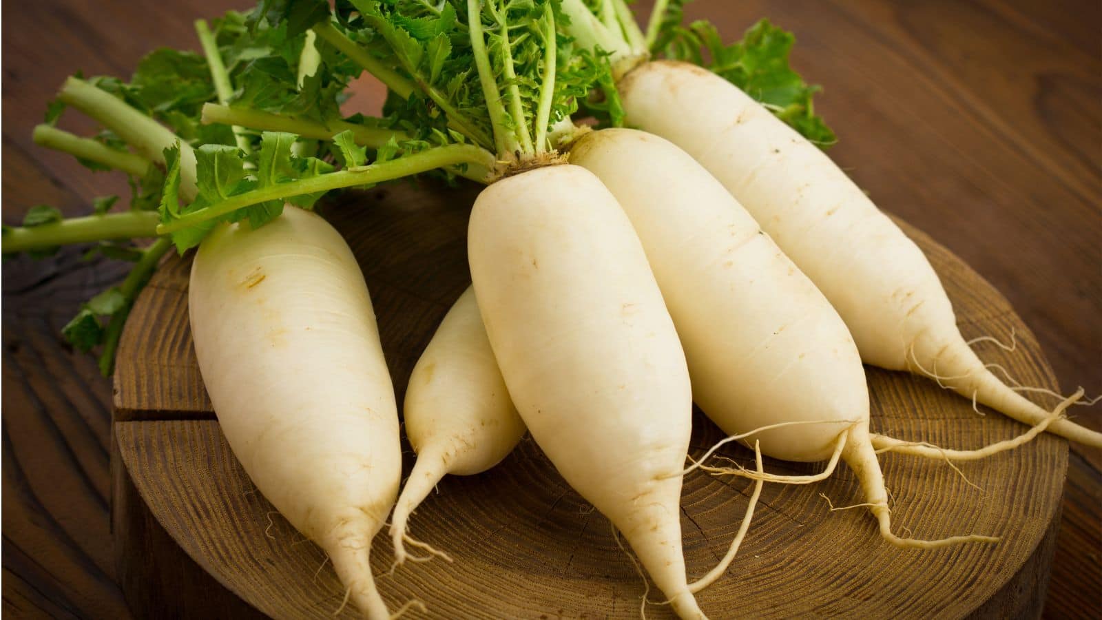 Radish: सर्दियों की सुपरफूड मूली या स्लो पॉइजन? जानें एक्सपर्ट्स की राय