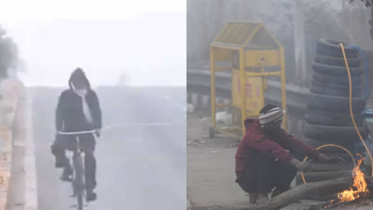 Weather Update: कड़ाके की ठंड से अभी राहत नहीं, 5-7 दिनों तक दिल्ली समेत उत्तर भारत में सुबह-सुबह कोहरे की मार; IMD ने जारी किया अलर्ट