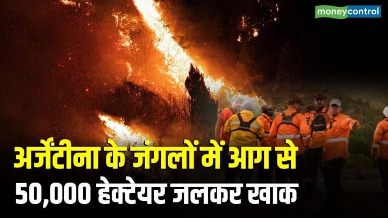 अर्जेंटीना के जंगलों में आग का तांडव 50,000 हेक्टेयर तक जलकर खाक