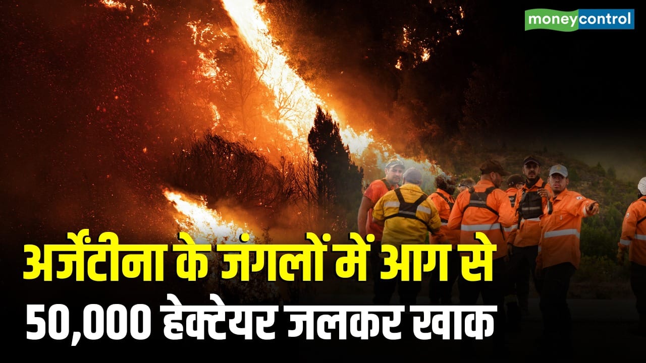 अर्जेंटीना के जंगलों में आग का तांडव 50,000 हेक्टेयर तक जलकर खाक