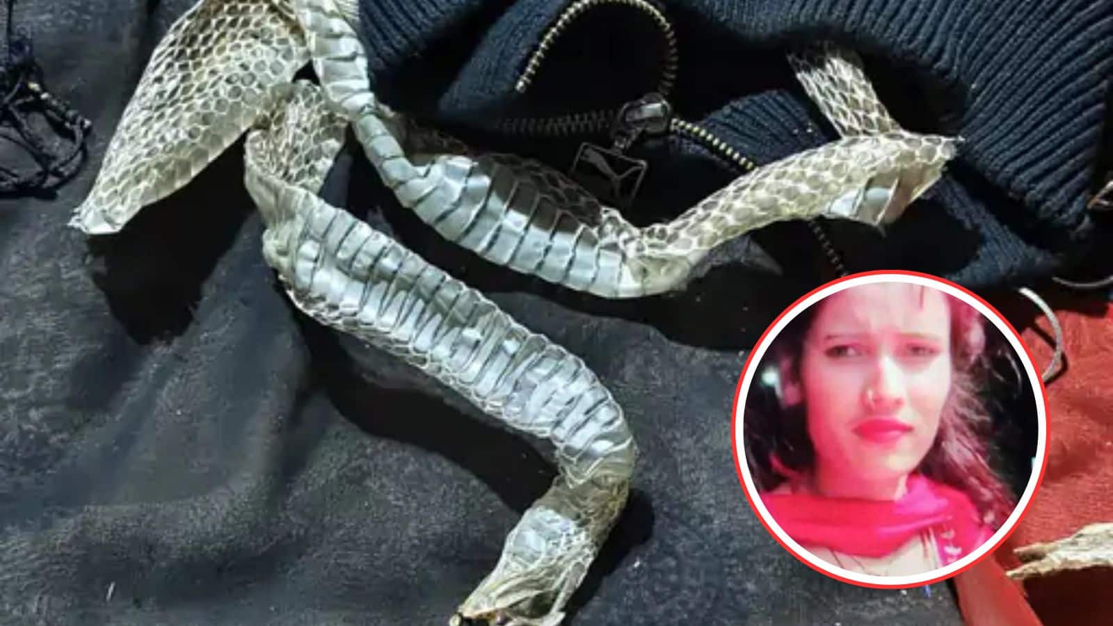 इच्छाधारी नागिन बनने की अफवाह उड़ाई और प्रेमी के साथ भाग गई लड़की, बिस्तर पर छोड़ गई सांप की केंचुली!