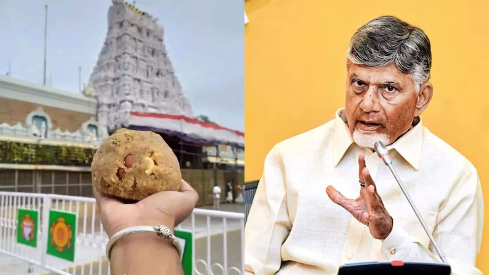 'तिरुपति के लड्डू में बाथरूम क्लीनर में इस्तेमाल होने वाला केमिकल मिलाया गया'! चंद्रबाबू नायडू का नया आरोप