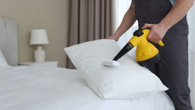 Tips & Tricks: तकिया ऊपर से साफ, अंदर से गंदा! बिना पानी अपनाएं ये 5 क्लीनिंग हैक्स