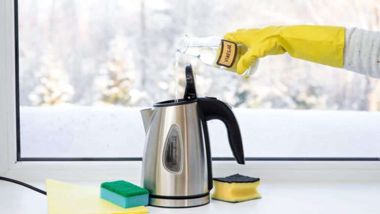 Electric Kettle Cleaning Tips: इलेक्ट्रिक केतली को साफ करना हुआ आसान, अपनाएं ये असरदार तरीका