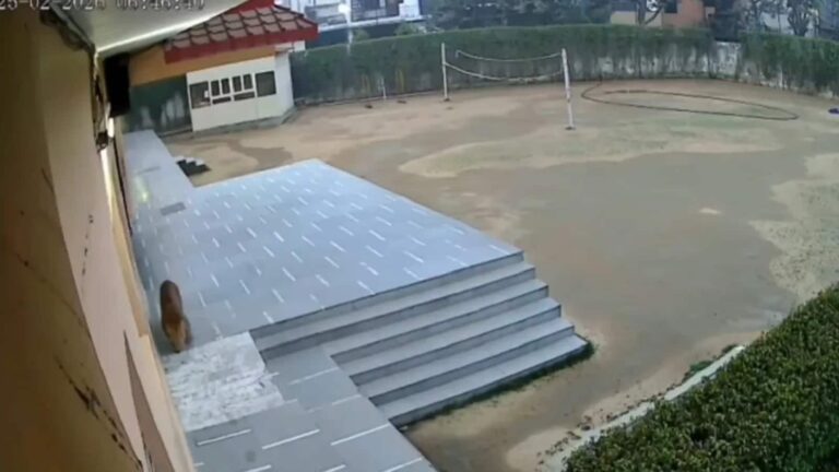 गाजियाबाद के स्कूल में घुसा तेंदुआ, छात्रों और स्टाफ में दहशत, परीक्षाएं की गई स्थगित