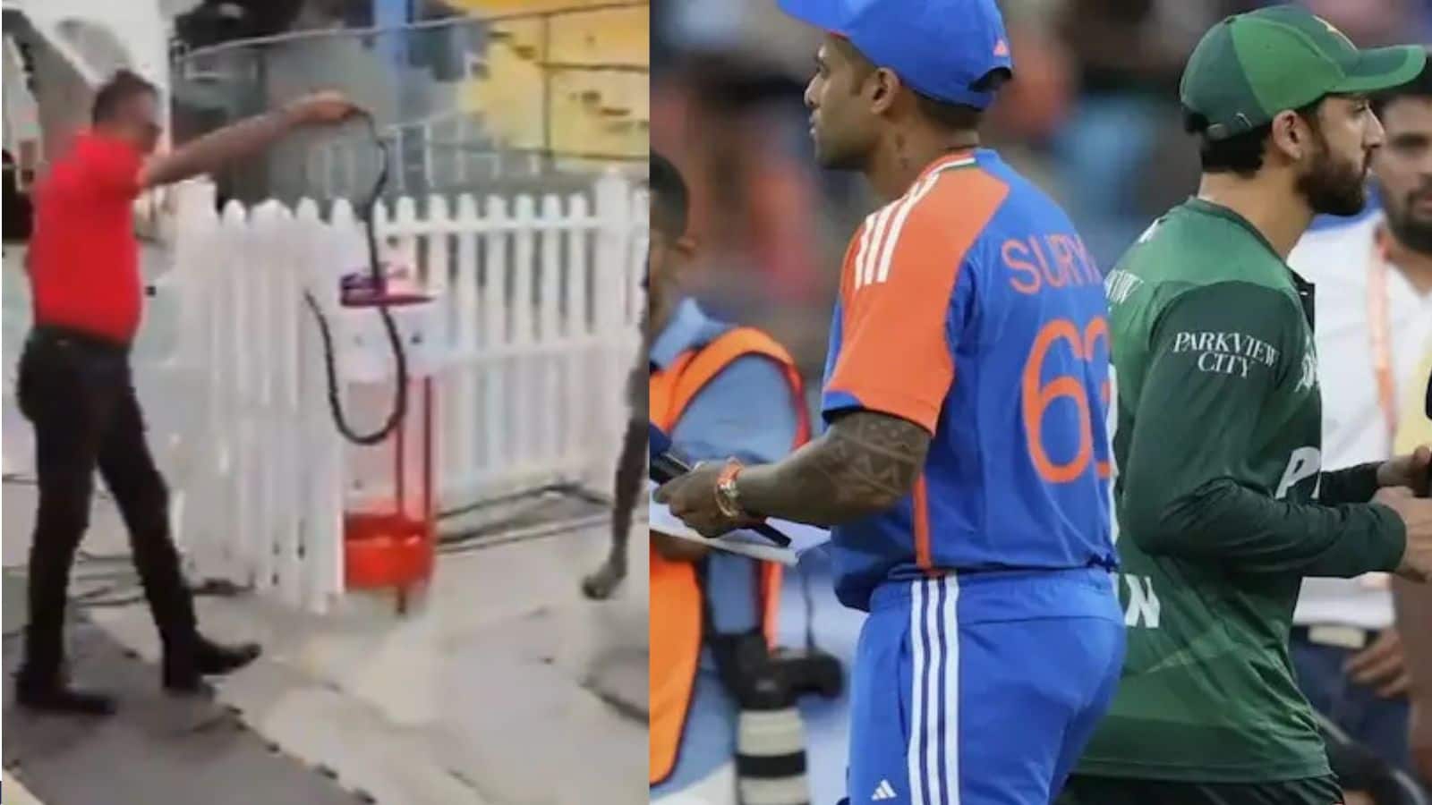 IND vs PAK : मैच से पहले पाकिस्तानी डगआउट में निकला सांप, काफी मश्क्कत के बाद पकड़ा गया