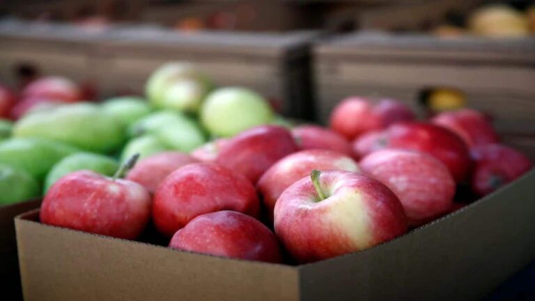 भारत-अमेरिका व्यापार समझौते से $90 अरब के पार जा सकता है ट्रेड सरप्लस, US मार्केट पर कब्जा जमाने का है 'गोल्डन चांस'