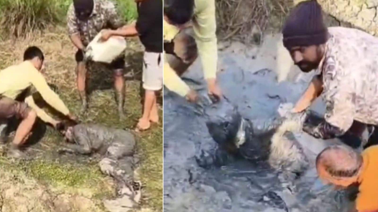 नोएडा, दिल्ली के बाद कानपुर में भी गड्ढे में गिरा बाइक सवार, 12 घंटे तक ठंड से कांपने बाद तोड़ा दम