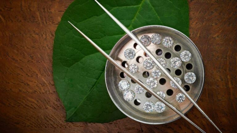 PNGS Reva Diamond Jewellery IPO: आज रात तक होगा अलॉटमेंट फाइनल, GMP के साथ जानिए स्टेटस चेक करने का स्टेप बाय स्टेप प्रोसेस