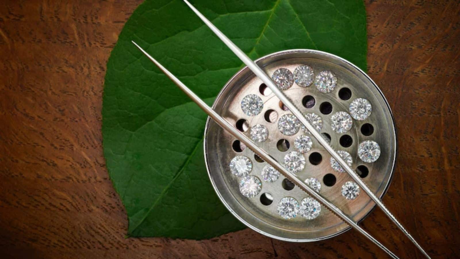 PNGS Reva Diamond Jewellery IPO: आज रात तक होगा अलॉटमेंट फाइनल, GMP के साथ जानिए स्टेटस चेक करने का स्टेप बाय स्टेप प्रोसेस