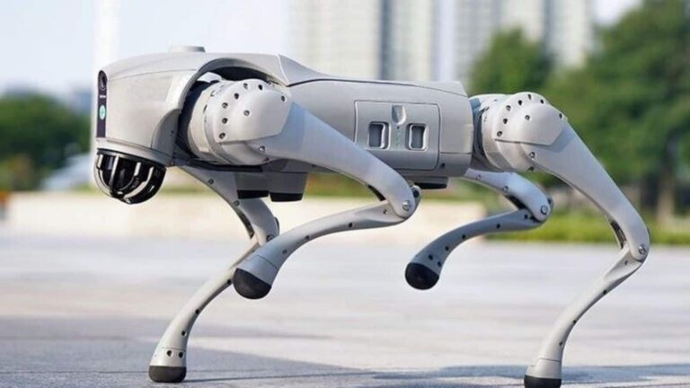 Robodog: मेटल का कुत्ता, जो न भौंकता न काटता, लेकिन बड़े काम का, क्या है ये बला? जिसने बढ़ा दी Galgotias यूनिवर्सिटी की मुश्किलें