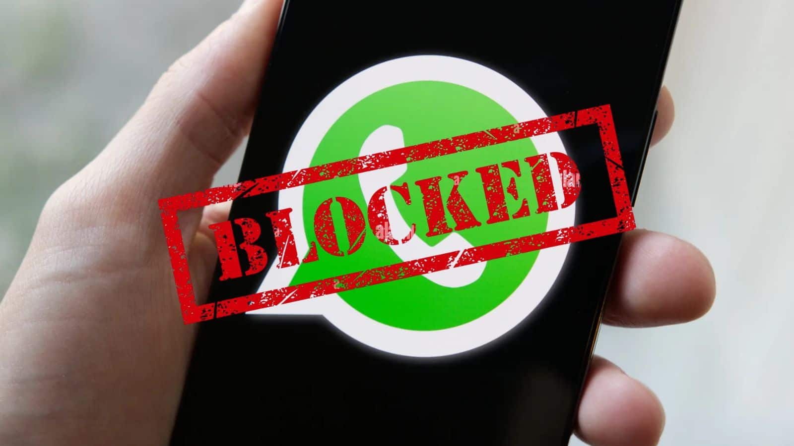 रूस में सरकार ने ब्लॉक किया WhatsApp! अधिकारी बोले- ऐप पर आतंकवाद और धोखाधड़ी की प्लानिंग होती है