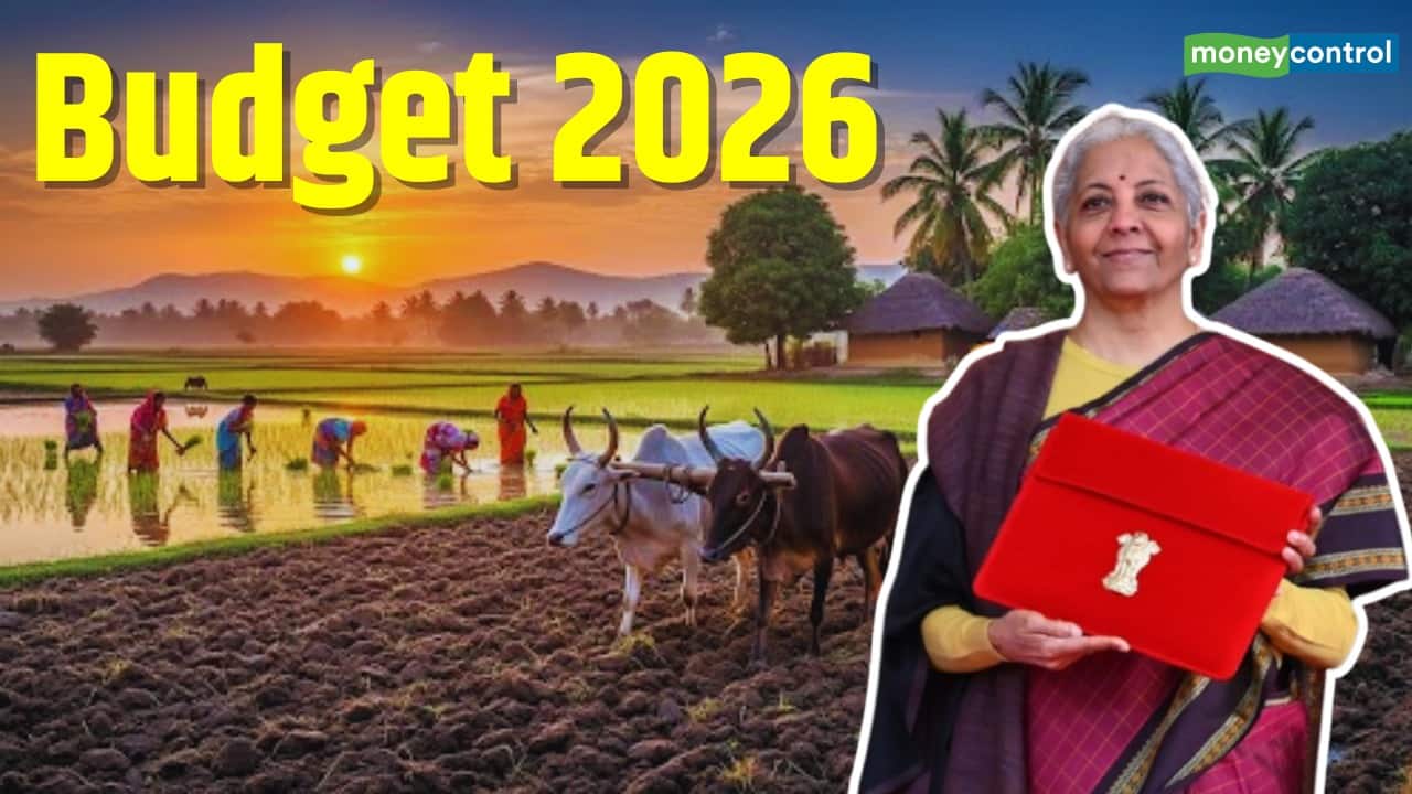 Union Budget 2026: नारियल, काजू और कोको सेक्टर को मिलेगी नई उड़ान, किसानों और उद्योग को बड़ा सहारा